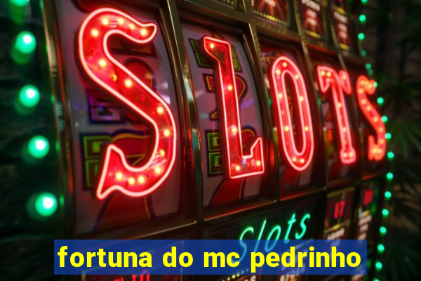 fortuna do mc pedrinho