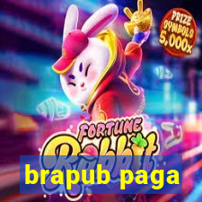 brapub paga