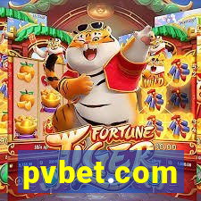 pvbet.com