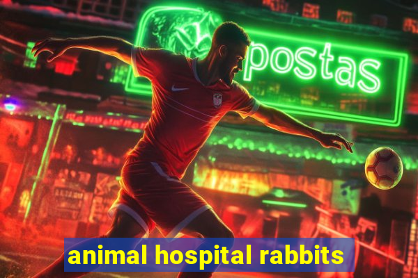 animal hospital rabbits