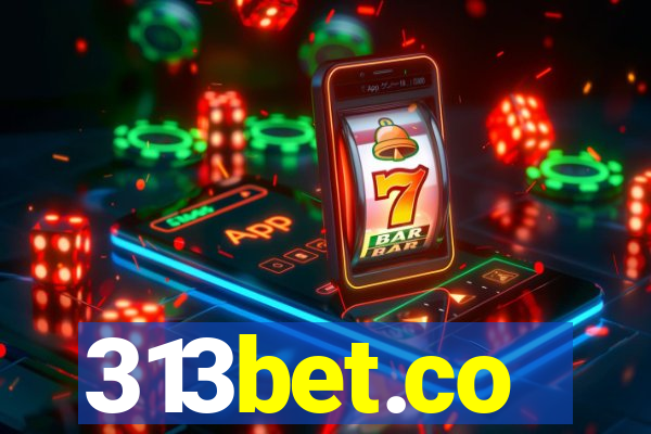 313bet.co