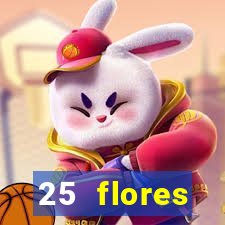 25 flores silvestres desbravadores