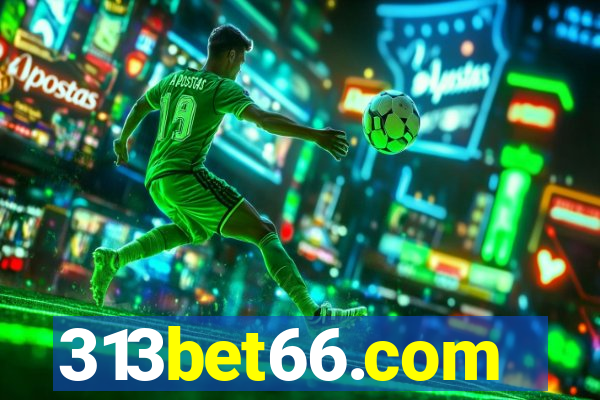 313bet66.com