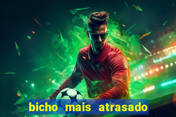 bicho mais atrasado na bahia