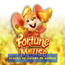 cruzeiros saindo de santos